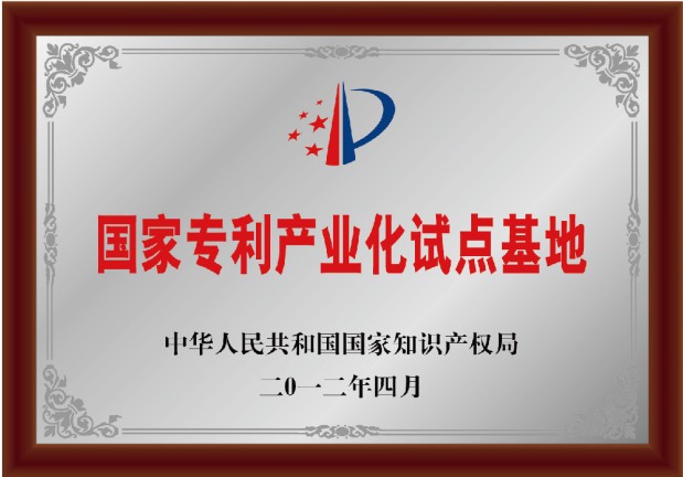 國家專利產(chǎn)業(yè)化試點(diǎn)基地