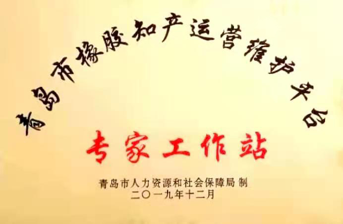 青島橡膠知產(chǎn)運(yùn)營(yíng)維護(hù)平臺(tái)-專家工作站